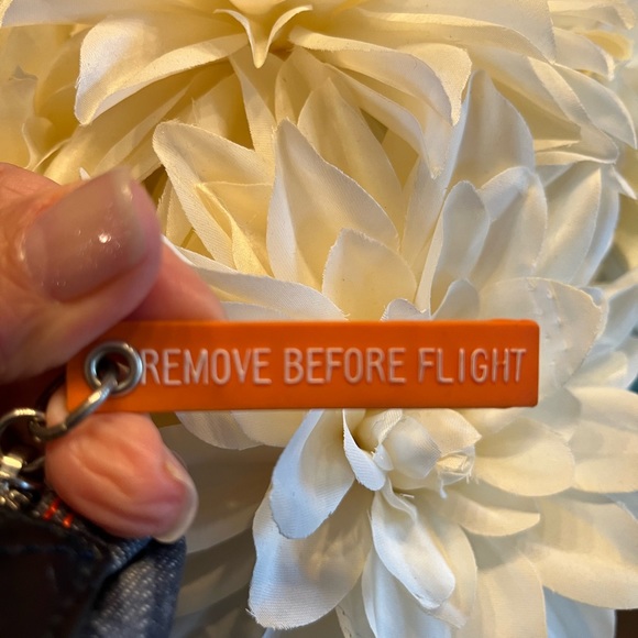 RARE DIOR DENIM OBLIQUE POUCH - Picture 2 of 12